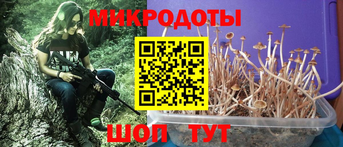 Галлюциногенные грибы GOLDEN TEACHER  Вход с VPN  Чапаевск 